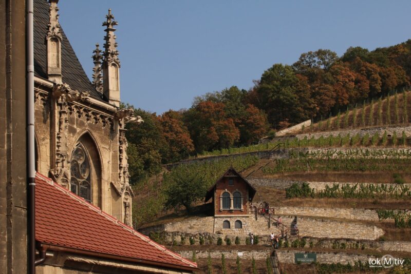 Das Bild streift die Kirche von Freyburg und zeigt den Weinberg mit einem kleinen Häuschen.